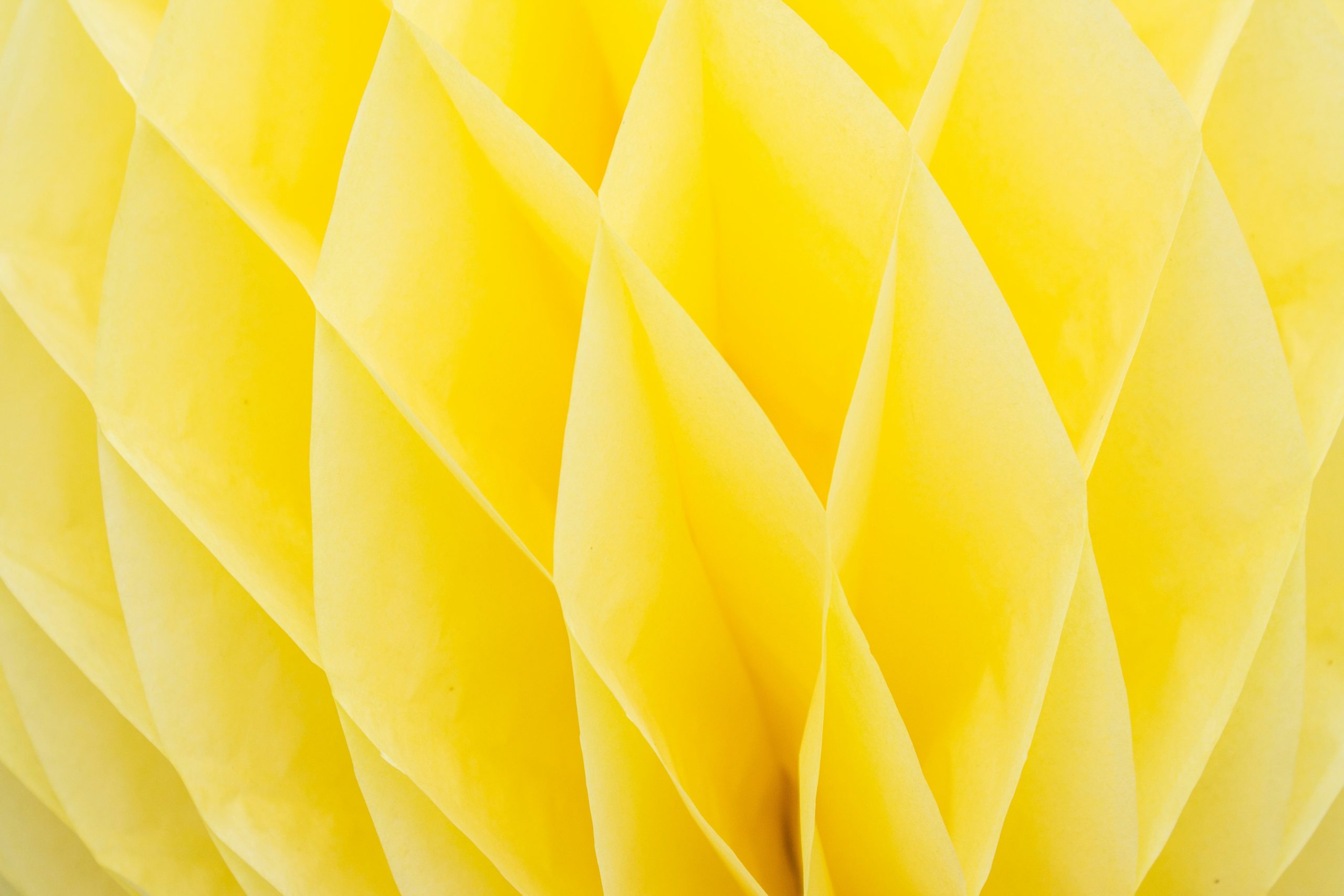 lubomirkin-j_BHh6vNOv8-unsplash
